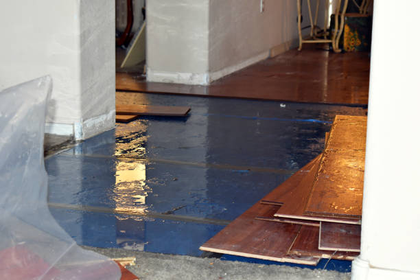 Professional Storm Water Damage Restoration technician working in Prescott, WI